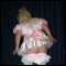 Preston, Frilly bottom Bi-Preston Phil