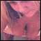 taunton, horny couple want fun tonight 
