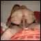 sutton, Couple needing imaginative fun with VWE males