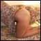 totton, cute & cuddly PRE - OP tranny delights - hot randy n ever so willing 2 be ur 1st one or the one in ur area u been gagging 4